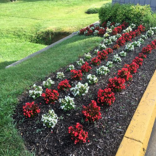 Landscaping Design and Installation