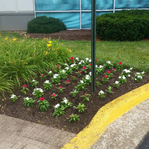 Landscaping Design and Installation