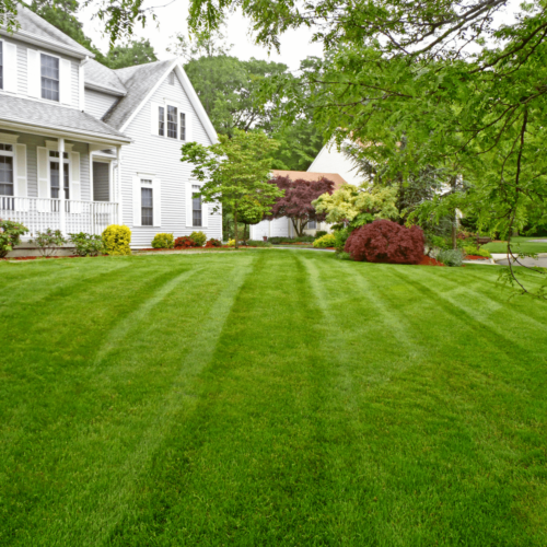 Commercial Grounds Maintenance