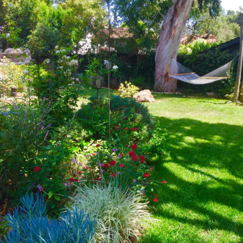 Landscaping Design and Installation