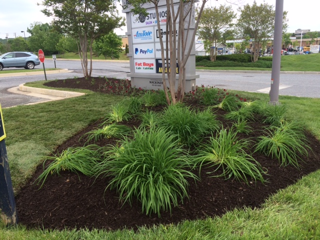 Landscaping Design and Installation