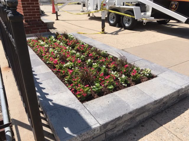Landscaping Design and Installation