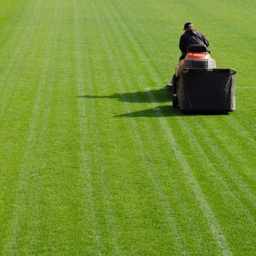 Commercial Grounds Maintenance