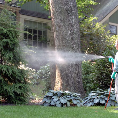 Pesticide & Fertilizer Programs